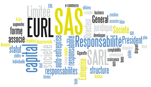 SAS SASU – La société par actions simplifiée